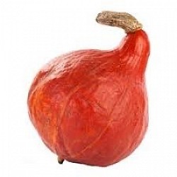 Courge Red Kuri